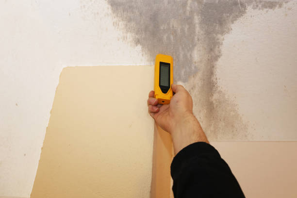 Best Indoor Air Quality Assessment  in Conestee, SC