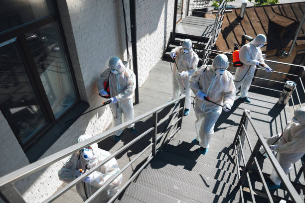 Best Mold Removal for HVAC Installations  in Conestee, SC