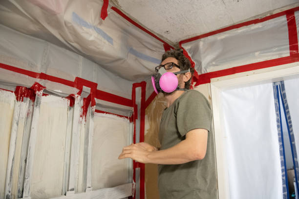 Best Biohazard Mold Removal  in Conestee, SC