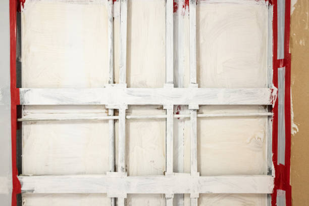 Best Post-Construction Mold Inspection  in Conestee, SC