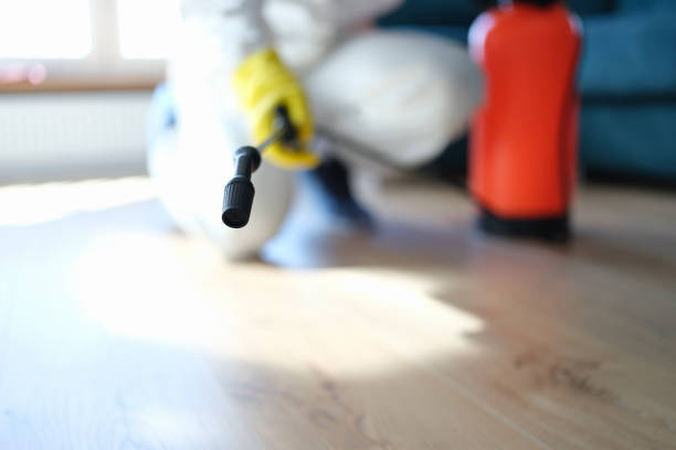 Best Dehumidification Services  in Conestee, SC