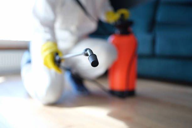 Best Commercial Mold Inspection  in Conestee, SC