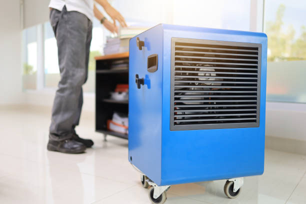 Best Attic Mold Removal  in Conestee, SC