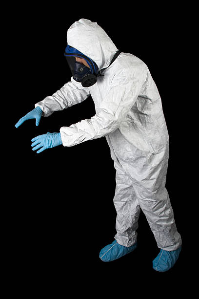 Best Mold Damage Restoration  in Conestee, SC