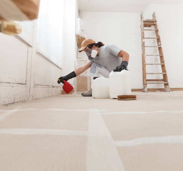 Asbestos and Lead Testing During Mold Inspection in Conestee, SC